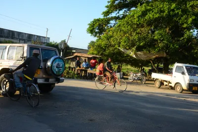 DSC_7988 (Large).JPG